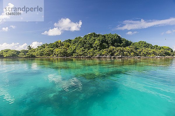 Klares Wasser auf der Vogelinsel  Tikehau  Tuamotu-Archipel  Französisch-Polynesien  Ozeanien