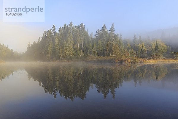 Morgennebel  Wasserspiegelung im See  Lac Lajoie  Mont Tremblant National Park  Provinz Quebec  Kanada  Nordamerika