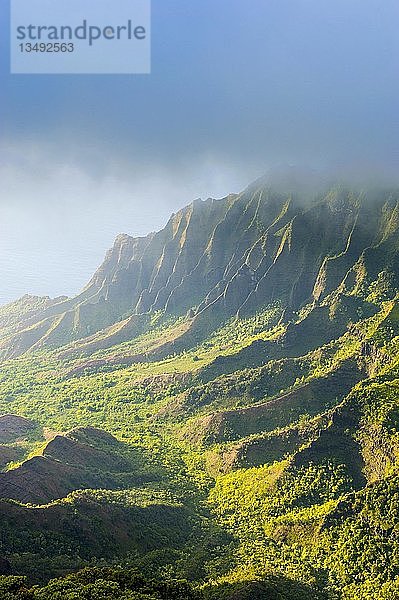 Napali-Küste mit grünen Bergen vom Aussichtspunkt Kalalau aus gesehen  N? Pali Coast State Park  Kauai  Hawaii  USA  Nordamerika