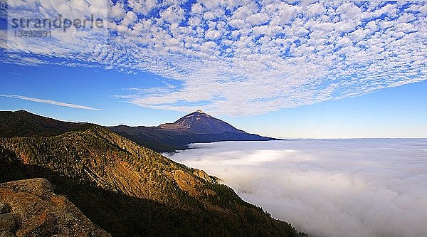 Pico del Teide bei Sonnenaufgang über Passatwolken  Teide-Nationalpark  Teneriffa  Kanarische Inseln  Spanien  Europa