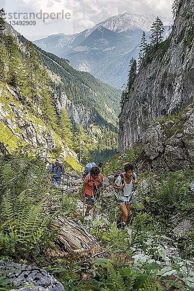 Drei Wanderer auf einem Wanderweg  Blick auf Berge  Saugasse  Wanderweg zum KÃ¶nigssee und KÃ¤rlinger Haus  Nationalpark Berchtesgaden  Bayern  Deutschland  Europa