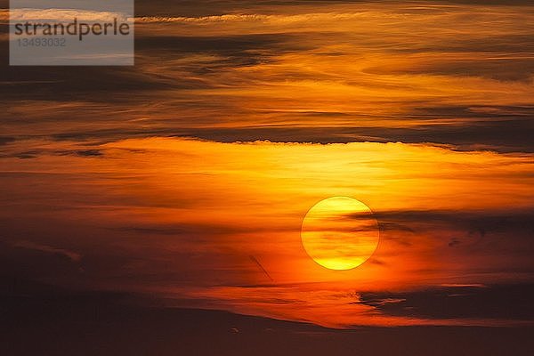 Glühende Sonne  Sonnenuntergang mit Wolken  Abendhimmel  Deutschland  Europa