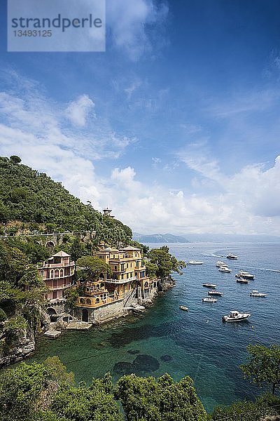 Lokale Ansicht eines Dorfes mit bunten Häusern und Hafen  Portofino  Provinz Genua  Ligurien  Italien  Europa