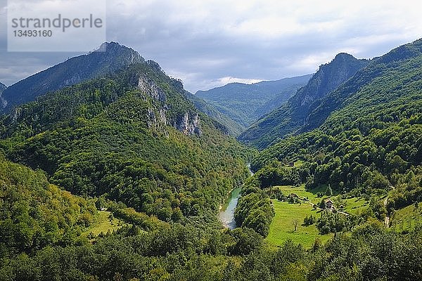 Fluss Tara  Tara-Schlucht  Blick von der Tara-Brücke in Durdevica  Durmitor-Nationalpark  Provinz Pljevlja  Montenegro  Europa