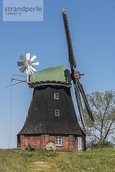 Holländerwindmühle  Herd  Boiensdorf  Am Salzhaff  Mecklenburg-Vorpommern  Deutschland  Europa