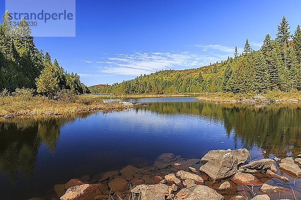 Lac Rossi  Wasserspiegelung  Mont Tremblant National Park  Provinz QuÃ©bec  Kanada  Nordamerika