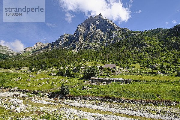 Siedlung Kukaj und Berg Maja e Thatë  Valbona-Nationalpark  Albanische Alpen  Prokletije  Qar Kukes  Albanien  Europa