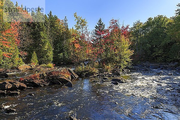 Stromschnellen des Flusses RiviÃ¨re du Diable im Herbst  HerbstfÃ?rbung  Mont Tremblant National Park  Provinz QuÃ©bec  Kanada  Nordamerika