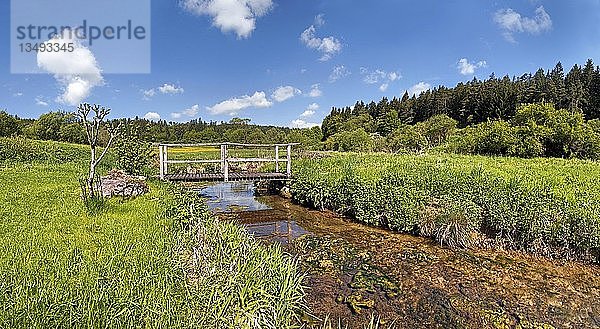 BrÃ¼cke Ã¼ber den Morsbach mit grÃ¼nen Wiesen  Naturpark AltmÃ¼hltal  Bayern  Deutschland  Europa