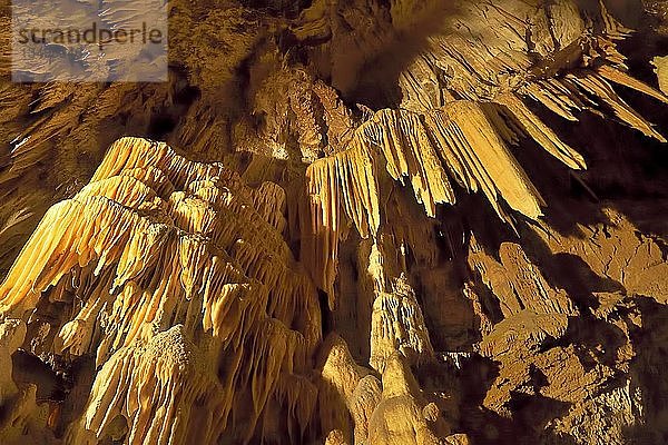 Stalaktiten und Stalagmiten  Karsthöhle  Postojna  Slowenien  Europa