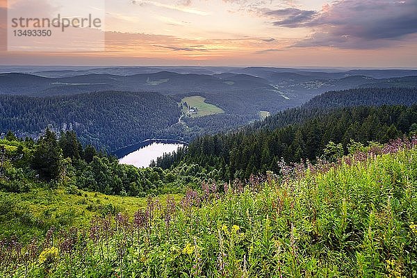 Blick vom Feldberg auf den Feldsee  Dämmerung  Schwarzwald  Baden-WÃ¼rttemberg  Deutschland  Europa