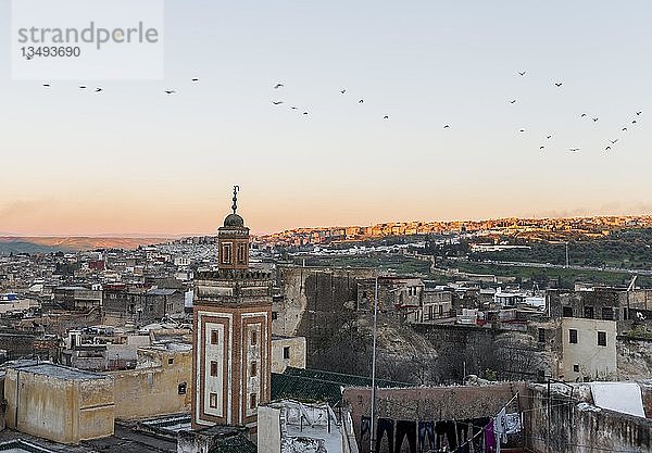Blick auf die Altstadt  Moschee mit Minarett  Sonnenuntergang  Fes-Boulemane  Fez  Marokko  Afrika