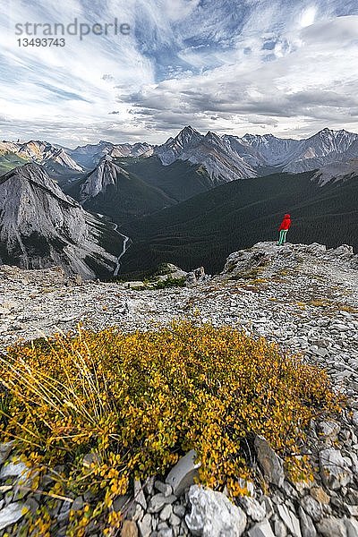 Wanderin auf dem Gipfel des Sulphur Skyline Trail  Blick über Berglandschaft und Flusstal  Panoramablick  Nikassin Range  Jasper National Park  British Columbia  Kanada  Nordamerika