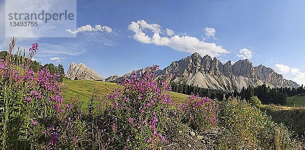 Panoramablick vom Würzjoch mit den Aferer Geisler Bergen und dem Peitlerkofel im Hintergrund  Villnösstal  Provinz Bozen  Italien  Europa