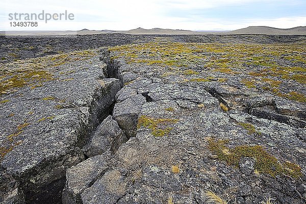 Riss  Spalte im Lavagestein  Pali Aike National Park  Magallanes Provinz  Chile  Südamerika