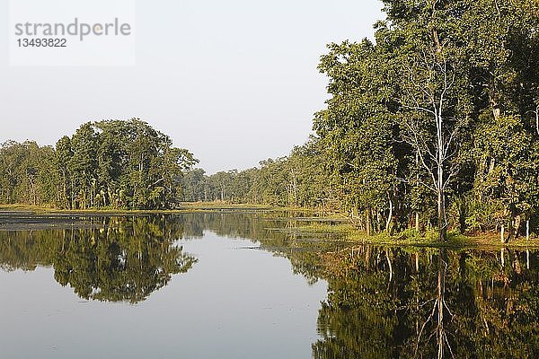 Bäume spiegeln sich im Zwanzigtausend-See  Bishazari-Tal oder Beeshazar-Tal  Chitwan-Nationalpark  Terai-Tiefland  Nepal  Asien