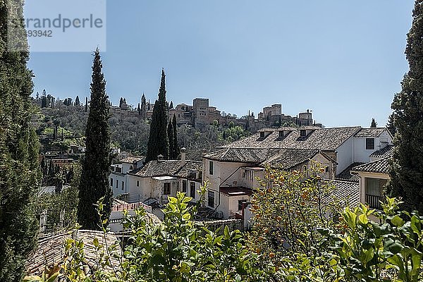 Blick auf die Häuser der Alhambra  Granada  Andalusien  Spanien  Europa