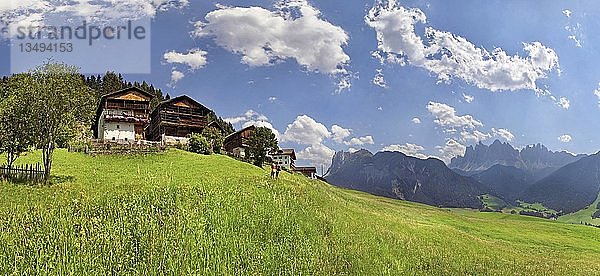 Alte Bergbauernhöfe oberhalb von S. Magdalena auf dem Bergbauernweg  Villnösstal  Provinz Bozen  Italien  Europa