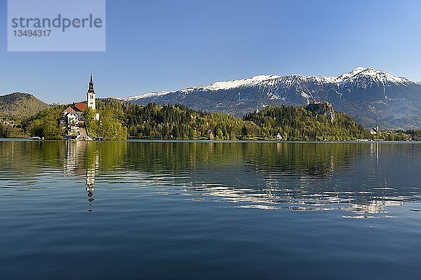 Insel Blejski Otok mit der St. Marienkirche  Bleder See  Karawanken  Bled  Slowenien  Europa