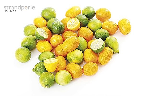 Kumquats oder Kumquats (Fortunella) und Limequats (Citrus x floridana)