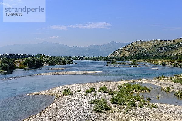 Fluss Moraca  bei Golubovci in der Nähe von Podgorica  Montenegro  Europa