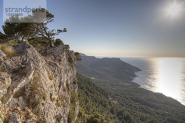 Steilküste Serra de Tramuntana  hinteres Mittelmeer  bei Valldemossa  Mallorca  Spanien  Europa