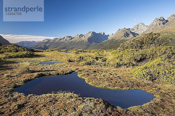 Teich am Key Summit  Fiordland National Park  Südland  Neuseeland  Ozeanien