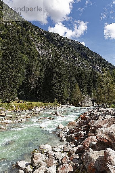 Gebirgsfluss Sarca  Berge  Val Genova  Genova-Tal  bei Carisolo  Naturpark Adamello-Brenta  Vinschgau  Dolomiten  Trentino-Südtirol  Italien  Europa