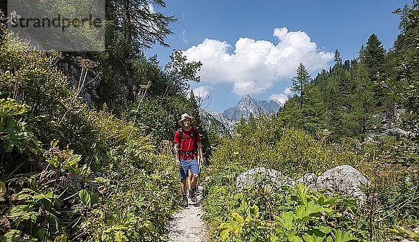 Wanderer auf Wanderweg zum KÃ¤rlingerhaus  hinter Watzmann  KÃ¶nigssee  Nationalpark Berchtesgaden  Berchtesgadener Land  Oberbayern  Bayern  Deutschland  Europa