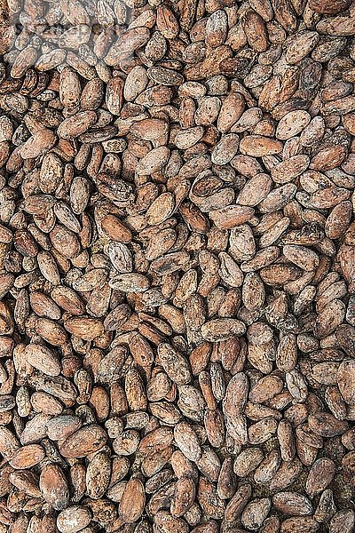Kakaobohnen zum Trocknen  Roça Monte Forte  Neves  São Tomé und Príncipe