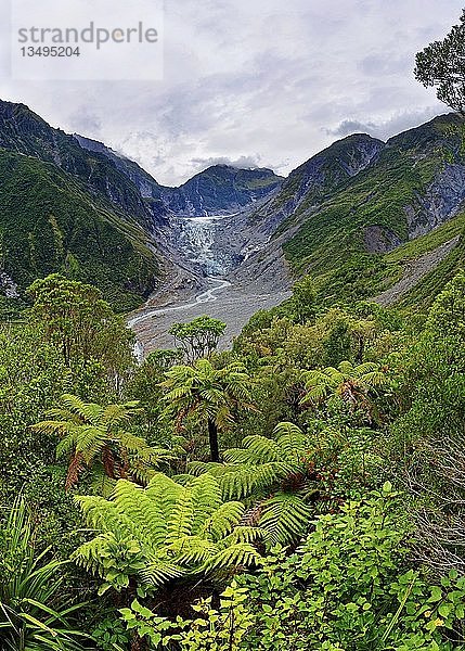 Fox Glacier und Fox River  tropische Vegetation  Westland District  Westküste  Südinsel  Neuseeland  Ozeanien