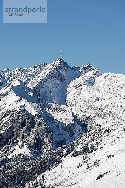 Schneebedeckter Säntisberg  2501m  von Südosten gesehen  Kanton Appenzell Innerrhoden  Schweiz  Europa