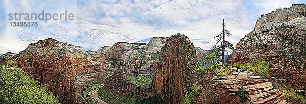 Panorama des Zion Canyon mit der Felsformation Angels Landing  Zion National Park  Utah  USA  Nordamerika  die auf beiden Seiten senkrecht abfällt  Nordamerika