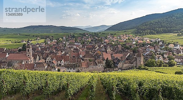 Ansicht von Riquewihr  Weinstraße im Elsass  Frankreich  Europa