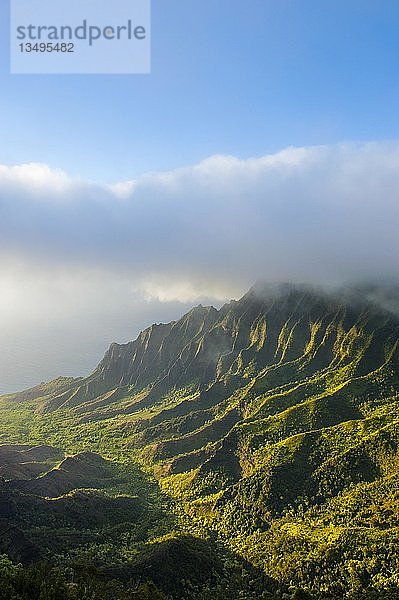 Napali-Küste mit grünen Bergen vom Aussichtspunkt Kalalau aus gesehen  N? Pali Coast State Park  Kauai  Hawaii  USA  Nordamerika