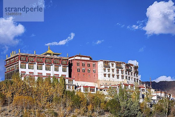 Phyang-Kloster  Phyang (oder Phiyang) Gompa  Ladakh  Indien  Asien