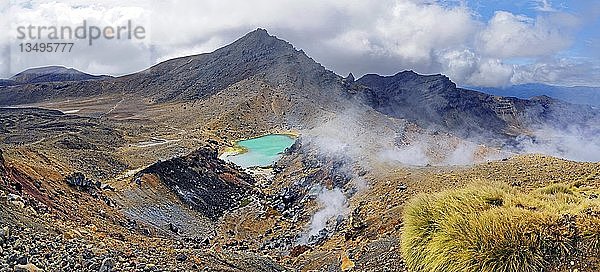 Vulkanisch aktive rauchige Landschaft mit grünen Smaragdseen  Tongariro Nationalpark  Manawatu-Wanganui  Nordinsel  Neuseeland  Ozeanien