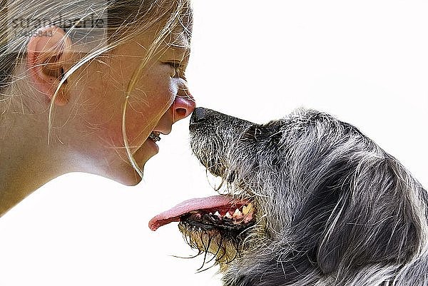 Mädchen und Hund schnüffeln sich gegenseitig die Nasen ab