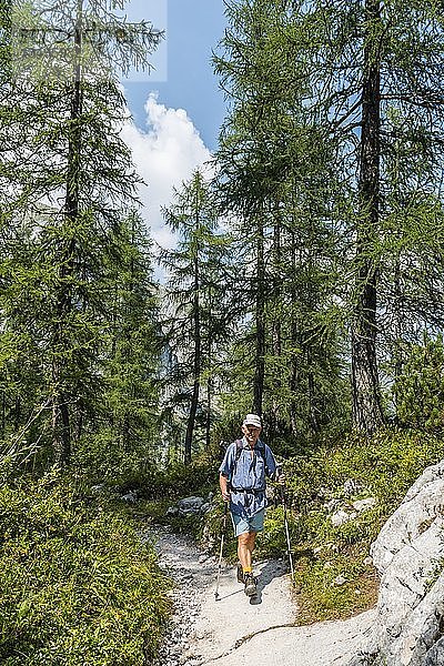 Wanderer  Wanderweg zum KÃ¤rlingerhaus  Nationalpark Berchtesgaden  Berchtesgadener Land  Oberbayern  Bayern  Deutschland  Europa