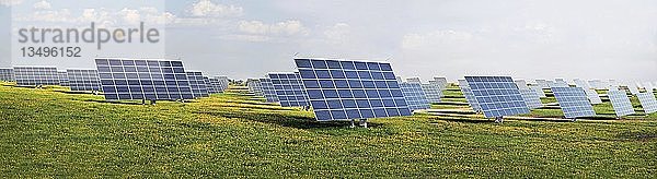 Solarenergiepark mit Solarmodulen oder Paneelen auf einer Wiese mit Löwenzahn