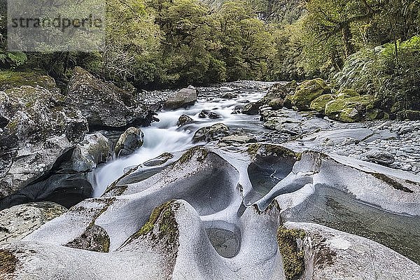 The Chasm  ausgewaschene Felsen  Milford Highway  Fiordland National Park  Southland  Neuseeland  Ozeanien
