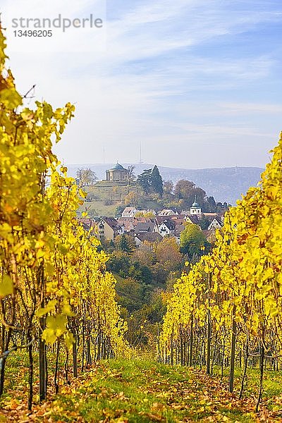 Grabkapelle auf dem WÃ¼rttemberg  gelbe Weinberge im Herbst  Rotenberg  Stuttgart  Baden-WÃ¼rttemberg  Deutschland  Europa