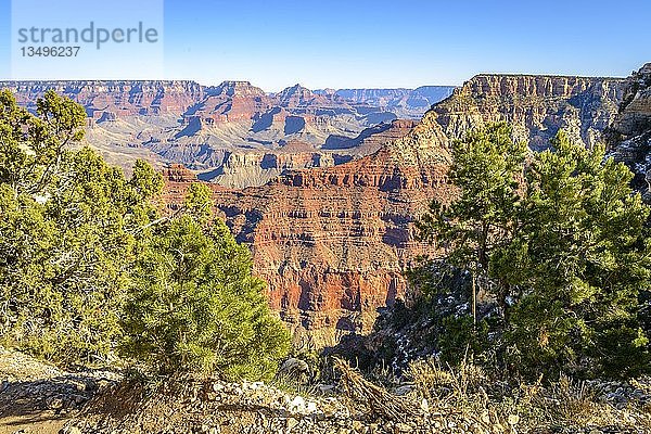 Blick vom Rim Trail zwischen Mather Point und Yavapai Point  erodierte Felslandschaft  South Rim  Grand Canyon National Park  Arizona  USA  Nordamerika