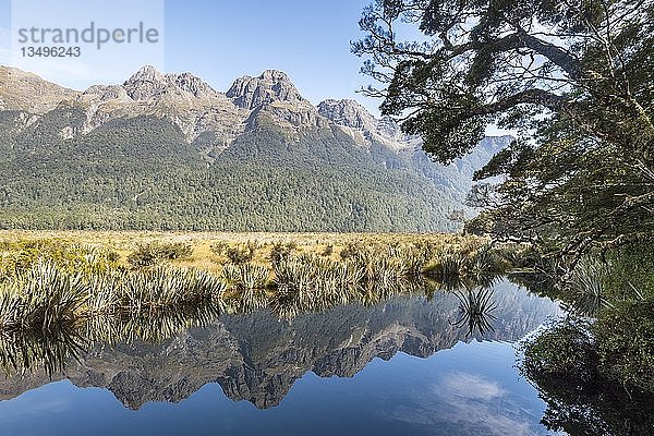 Mirror Lake mit Wasserreflexionen der Berge  Fiordland National Park  Milford Highway  Southland  Neuseeland  Ozeanien