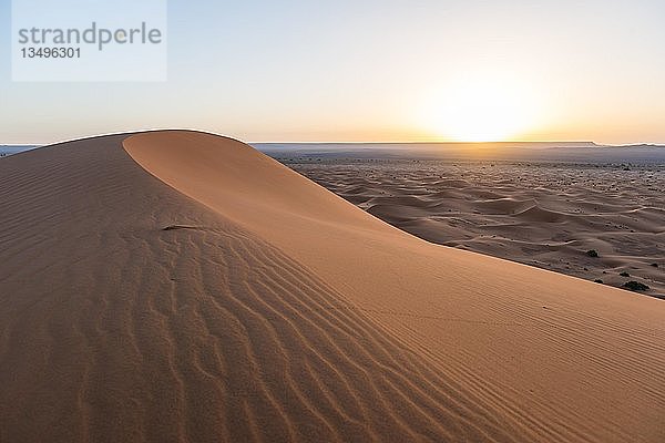 Sonnenaufgang  Sanddünen in der Wüste  Dünenlandschaft Erg Chebbi  Merzouga  Sahara  Marokko  Afrika