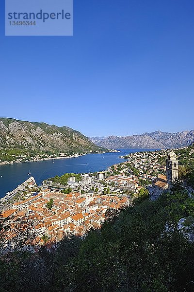 Altstadt von Kotor  Kirche Gospa od Zdravlja  Bucht von Kotor  Montenegro  Europa