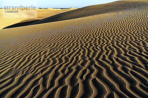 Dünenlandschaft  Dünen von Maspalomas  Dunas de Maspalomas  Strukturen im Sand  Naturschutzgebiet  Gran Canaria  Kanarische Inseln  Spanien  Europa
