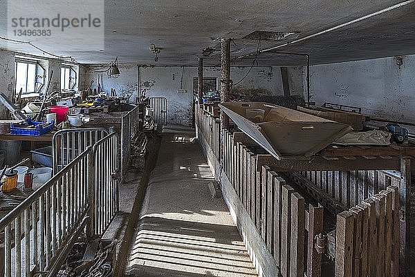 Leerstehender Schweinestall eines verlassenen Bauernhofs  Bayern  Deutschland  Europa