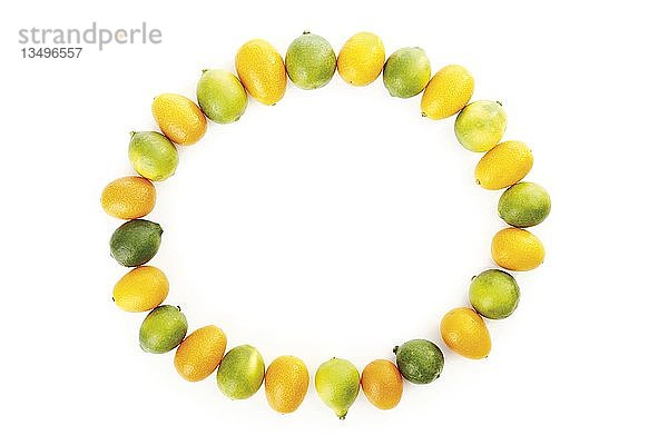 Kumquats oder Cumquats (Fortunella) und Limequats (Citrus x floridana)  in einem Kreis