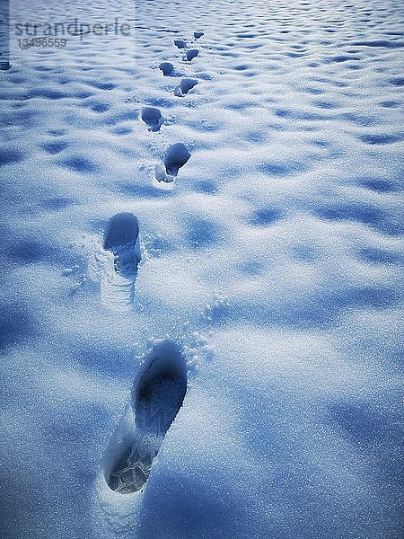 Fußabdrücke  Spuren im Schnee  Deutschland  Europa